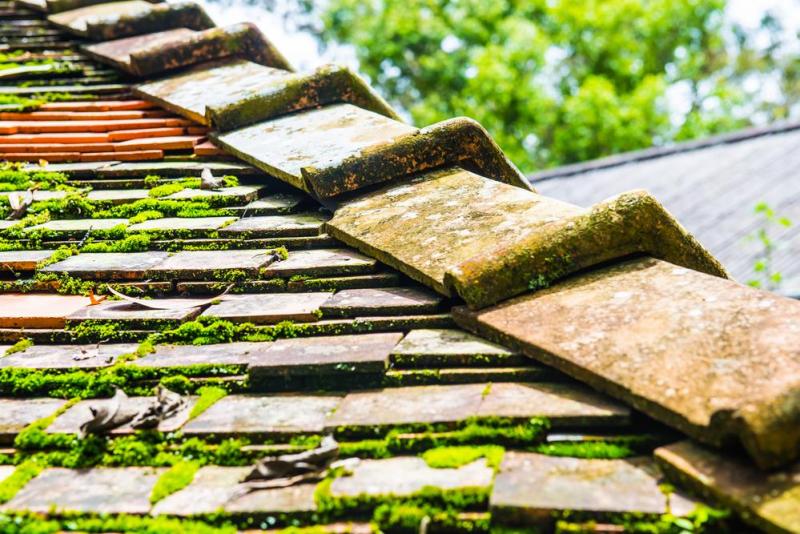 Traitement de toiture &agrave; Gouaix : quand et pourquoi l'effectuer ?